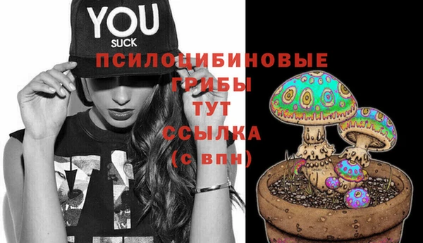 прущий лед Алексеевка