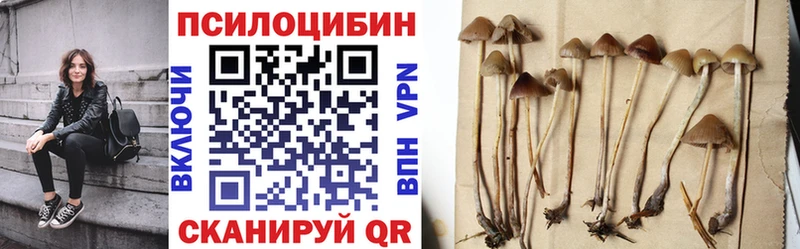 купить закладку  нарко площадка Telegram  Псилоцибиновые грибы Psilocybine cubensis  Кукмор 